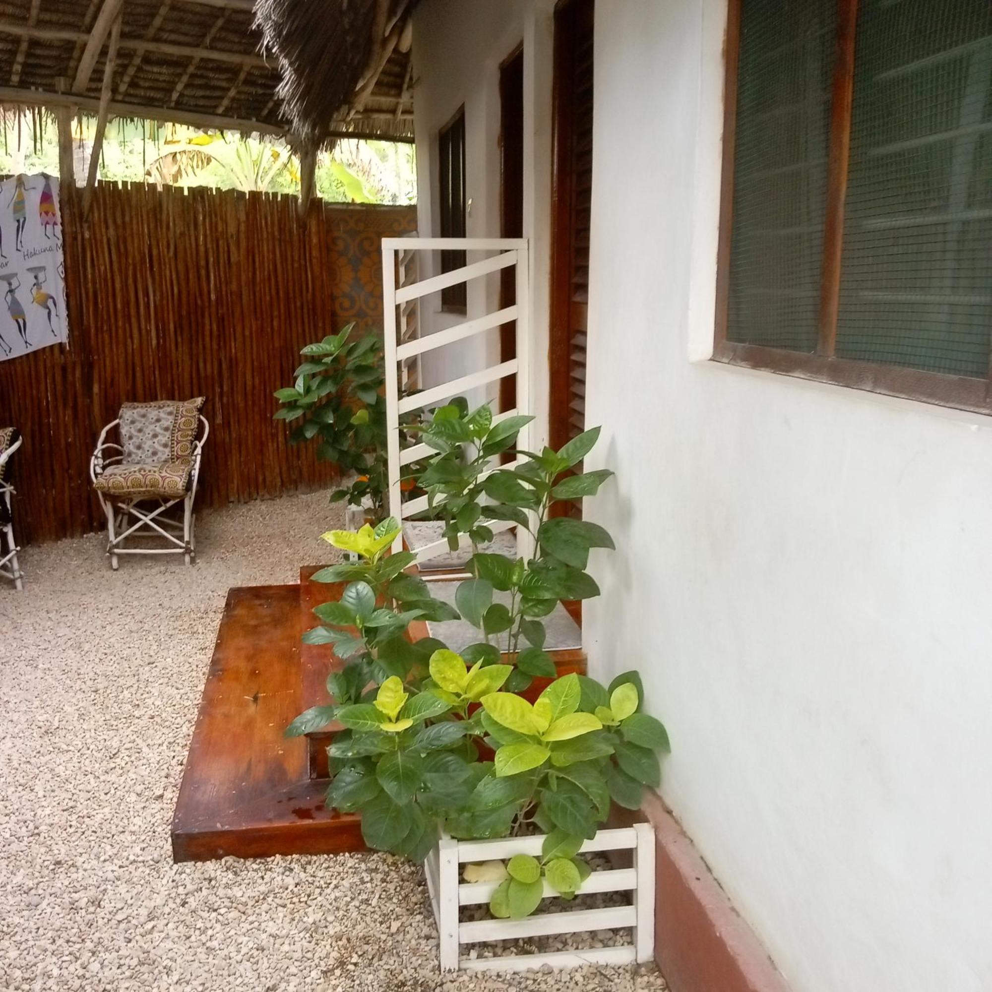 Casa Carlotta & Villa Nungwi Eksteriør bilde